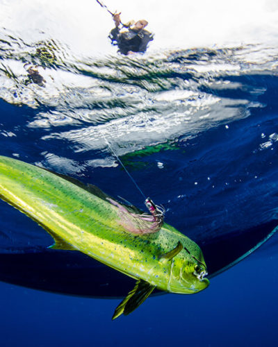 Deep sea fishing with Bey Bodo