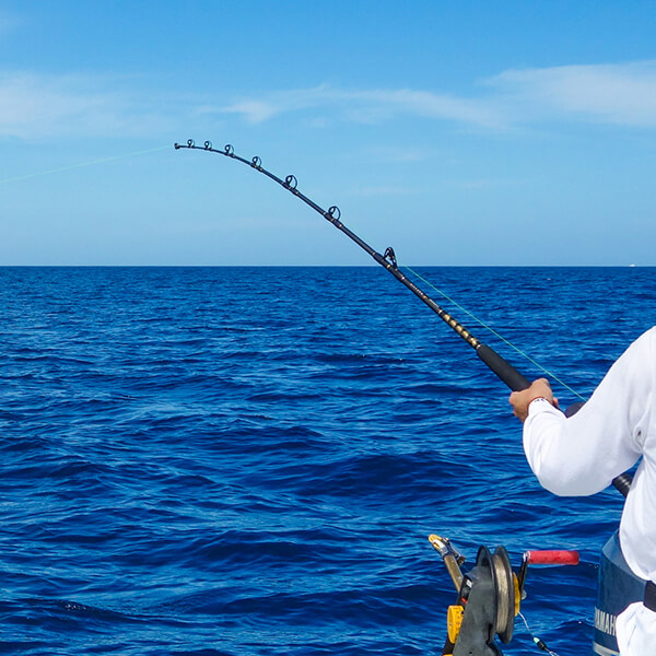 Bey Bodo Charter boats fishing school