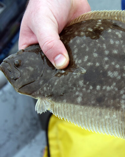 Flounder Giggin with Bey Bodo Charters