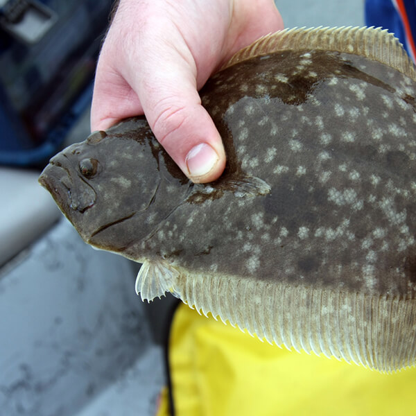 Flounder Giggin with Bey Bodo Charters