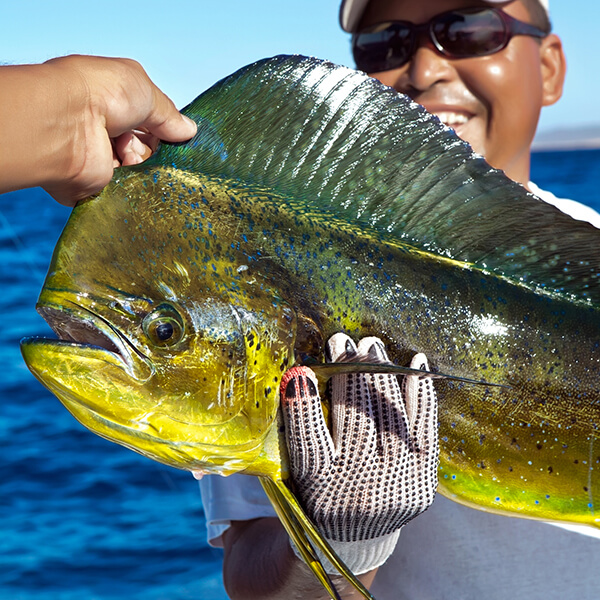 Boat charters for groups with Bey Bodo